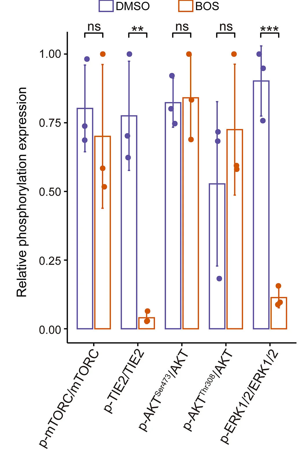 Open access visualization of Bar Plot, Error Bars, Scatter Plot, Phosphorylation, p-mTORC