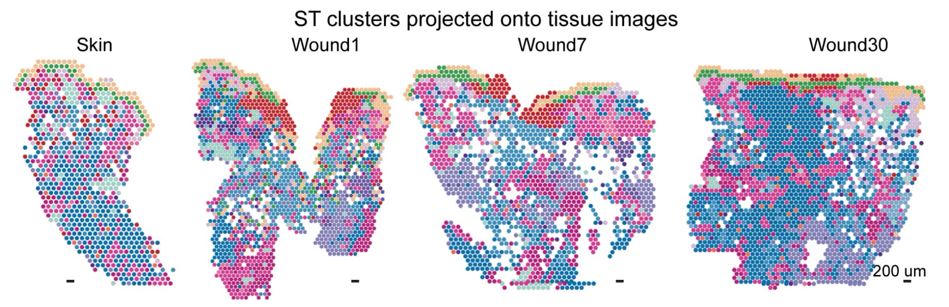 Open access visualization of Scatter Plot, Microscopy, Spatial Projection, Cell Types, Hematoxylin and Eosin Staining