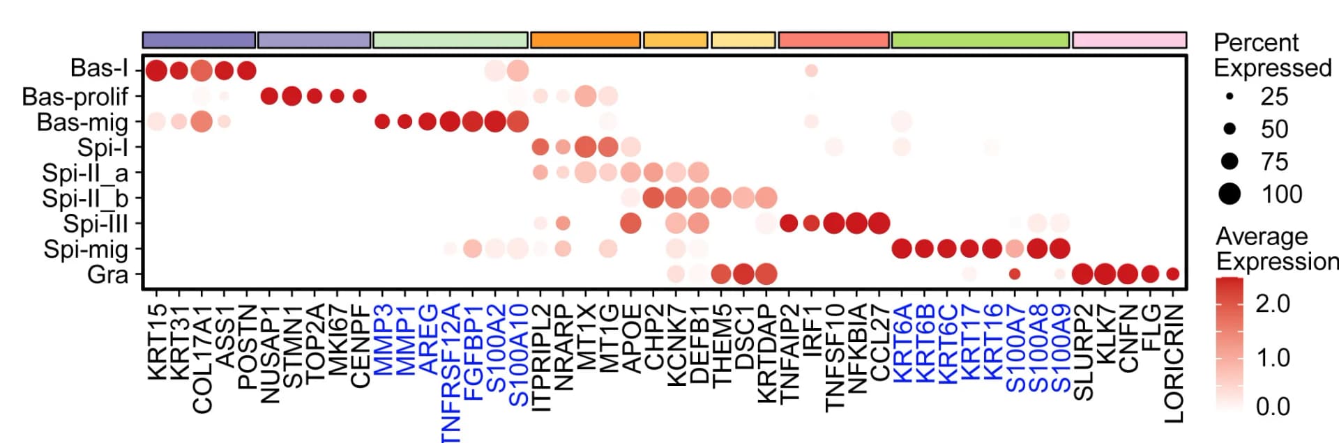 Open access visualization of Heatmap, Bubble Plot, Dot Plot, Marker Gene, Gene Expression