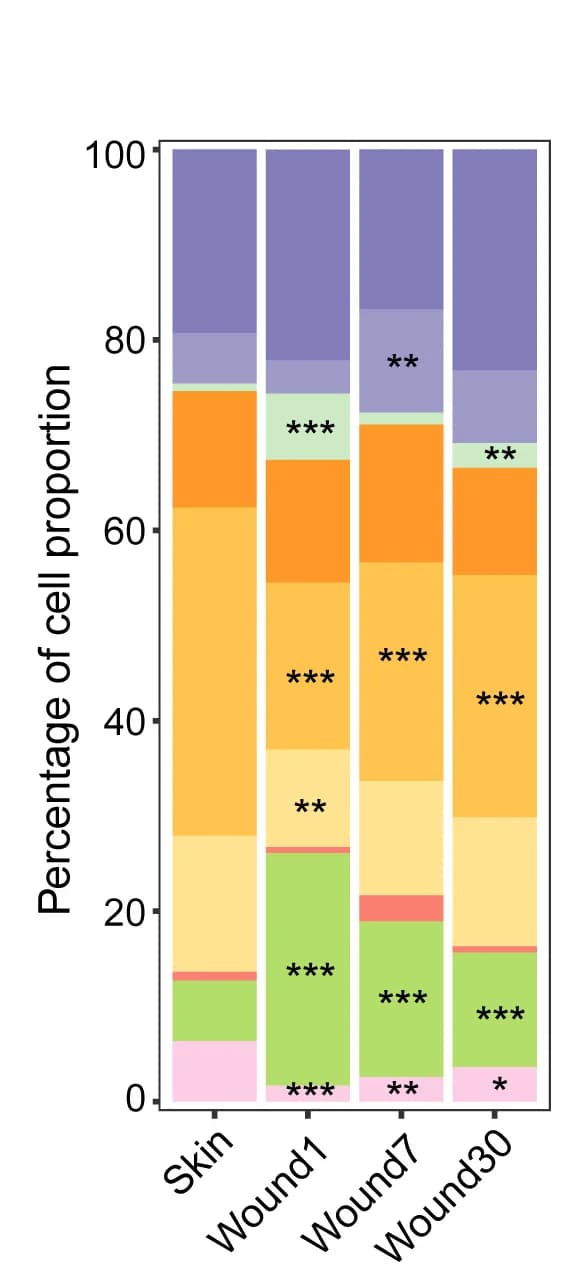 Open access visualization of Stacked Bar Plot, Cell Proportions, Sub-cluster