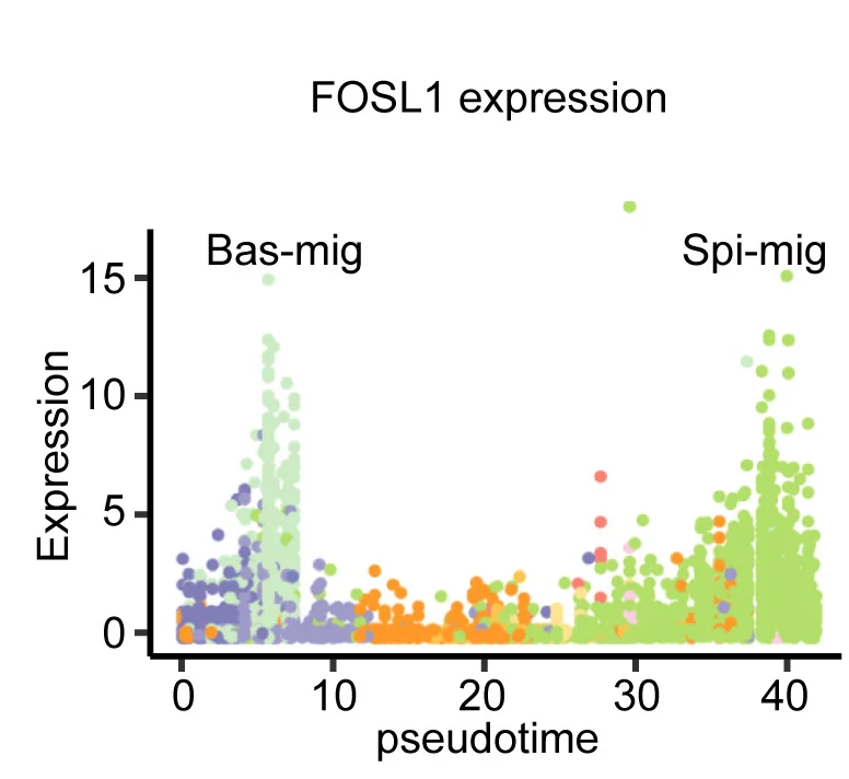 Open access visualization of Scatter Plot, UMAP, Cell Clusters, Pseudotime Trajectories, Non-Wound Keratinocytes