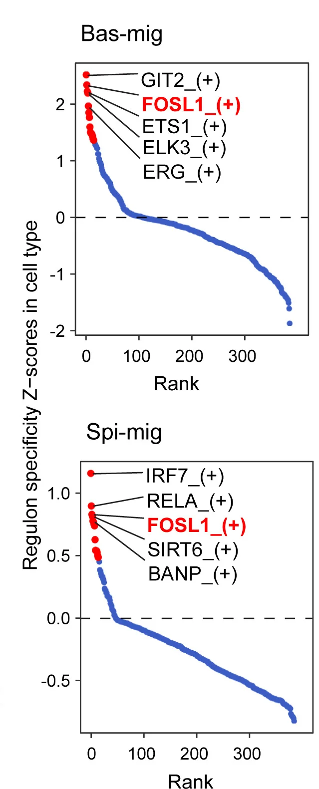 Open access visualization of Line Plot, Scatter Plot, Scatter Plots, TF Regulons, Specificity Z-Scores