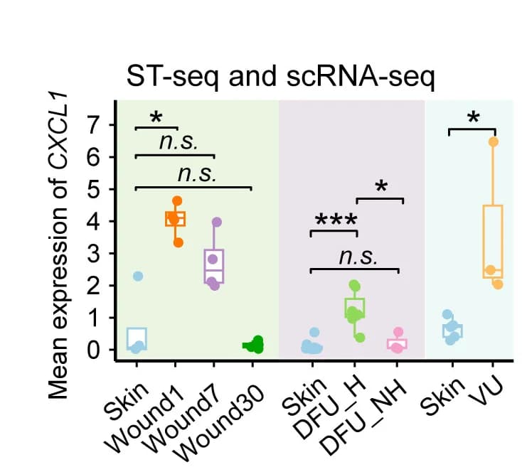 Open access visualization of Box Plot, Scatter Plot, CXCL1 Expression, ST-seq, Acute Wound