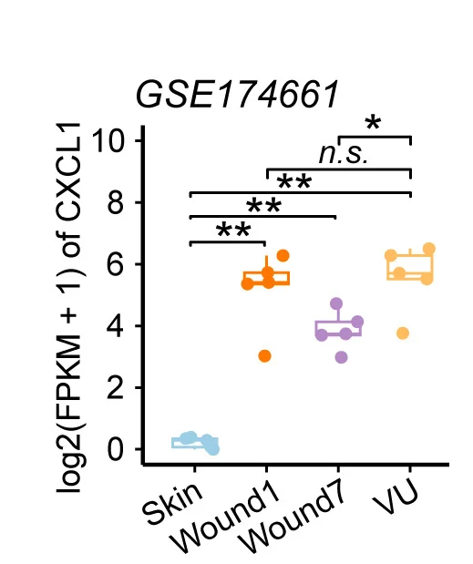 Open access visualization of Box Plot, Scatter Plot, RNA-seq, Skin, Acute Wound