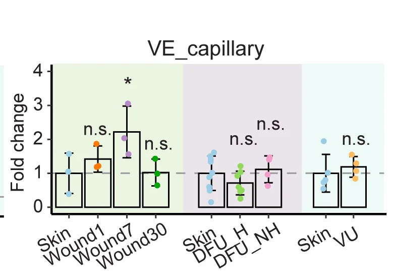 Open access visualization of Bar Plot, Error Bars, Scatter Plot, VE-capillary, Acute Wound