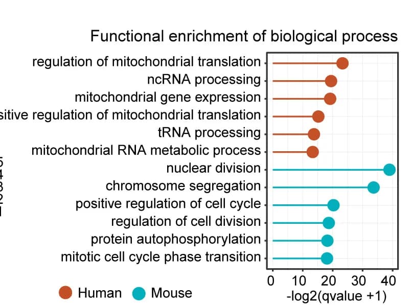 Open access visualization of Bar Plot, Error Bars, Lollipop Chart, Enriched GO Terms, Human