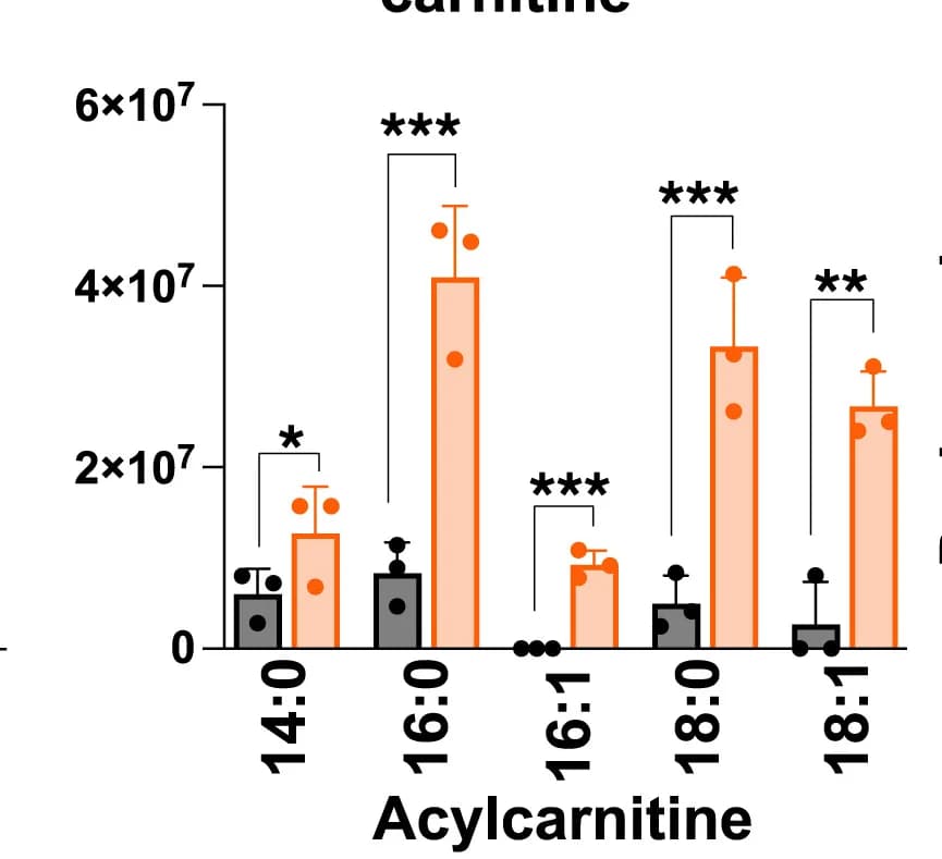 Open access visualization of Bar Plot, Error Bars, Acylcarnitines, HSCs/MPPs, Mx1-Cre; Hadhafl/fland Mice