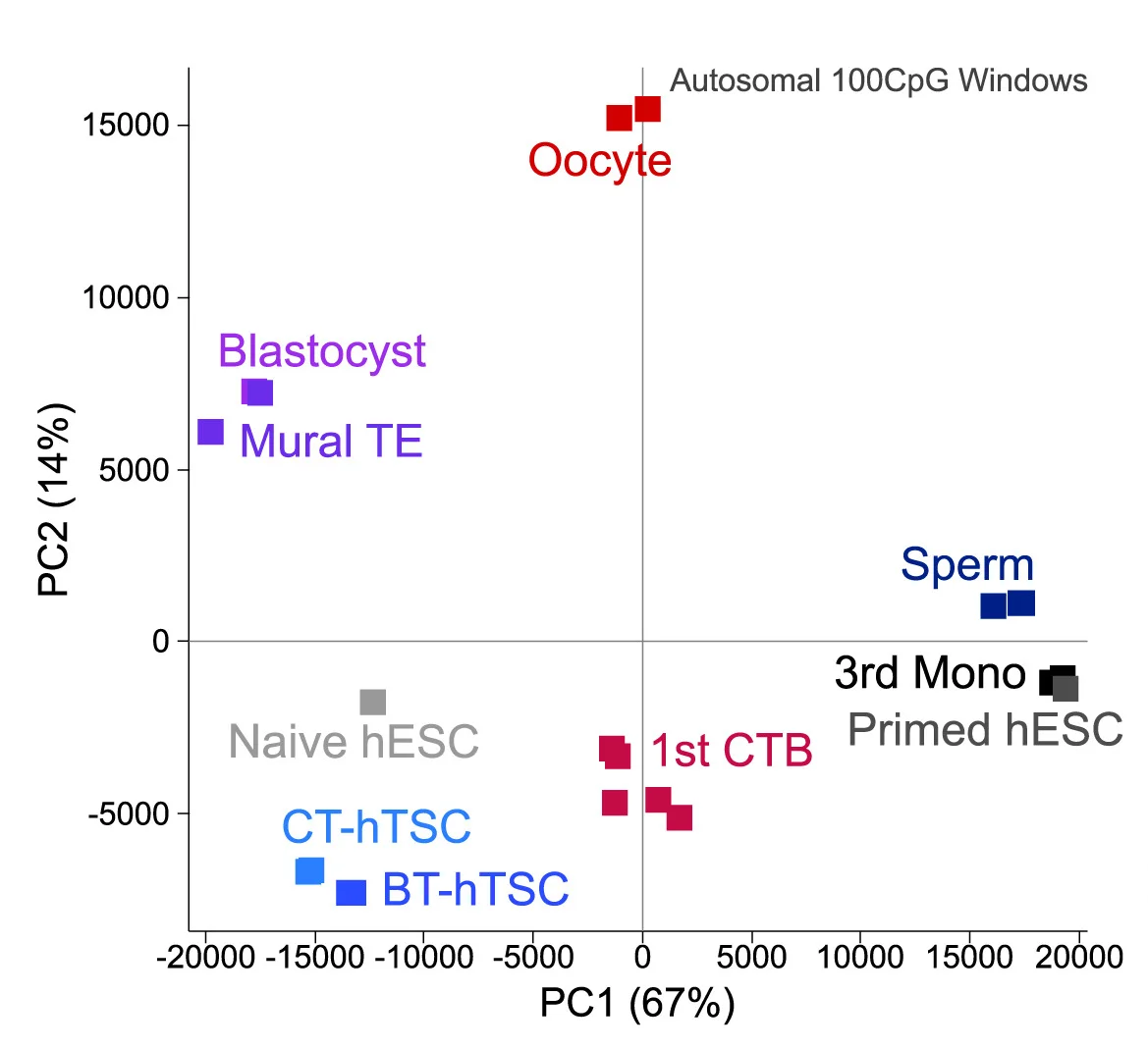 Open access visualization of Scatter Plot, PCA, Principal-Component Analysis, DNA Methylation, Biological Replicates