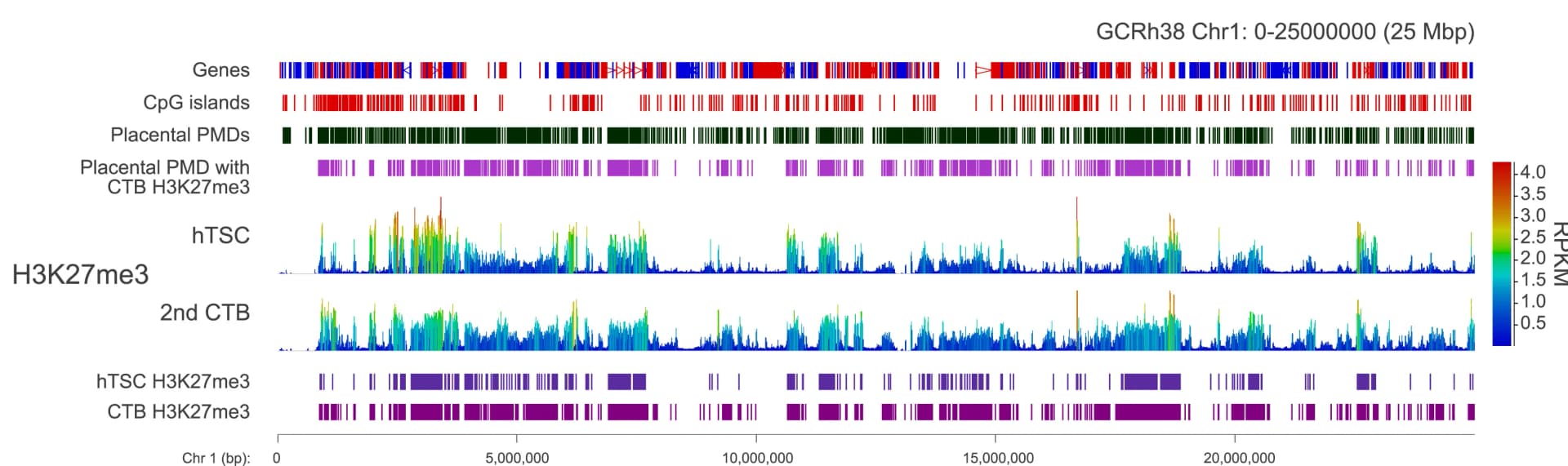 Open access visualization of Line Plot, Bar Plot, hTSCs, CTBs, H3K27me3