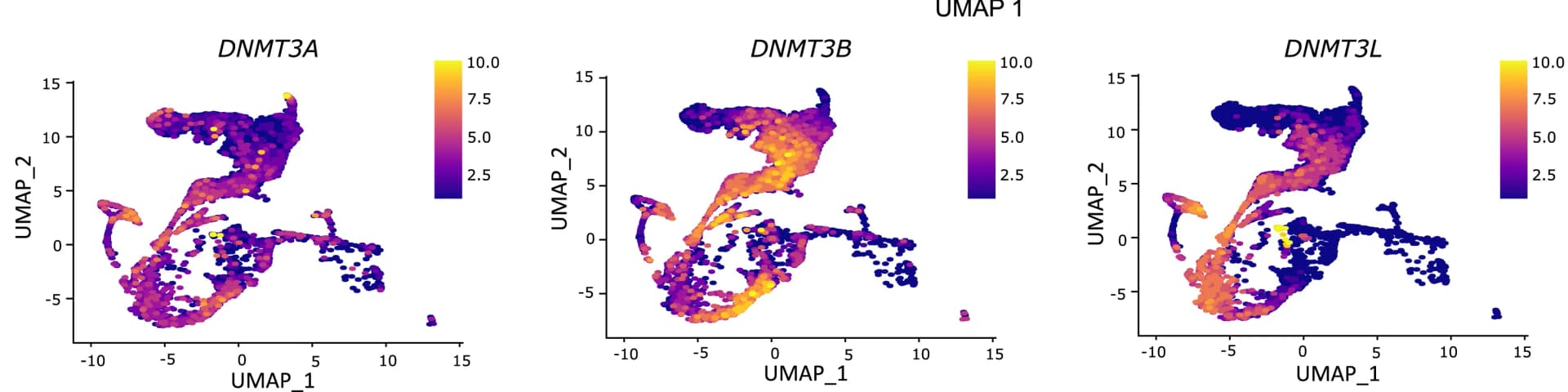 Open access visualization of Scatter Plot, UMAP, DNMT3A Expression, DNMT3B Expression, DNMT3L Expression