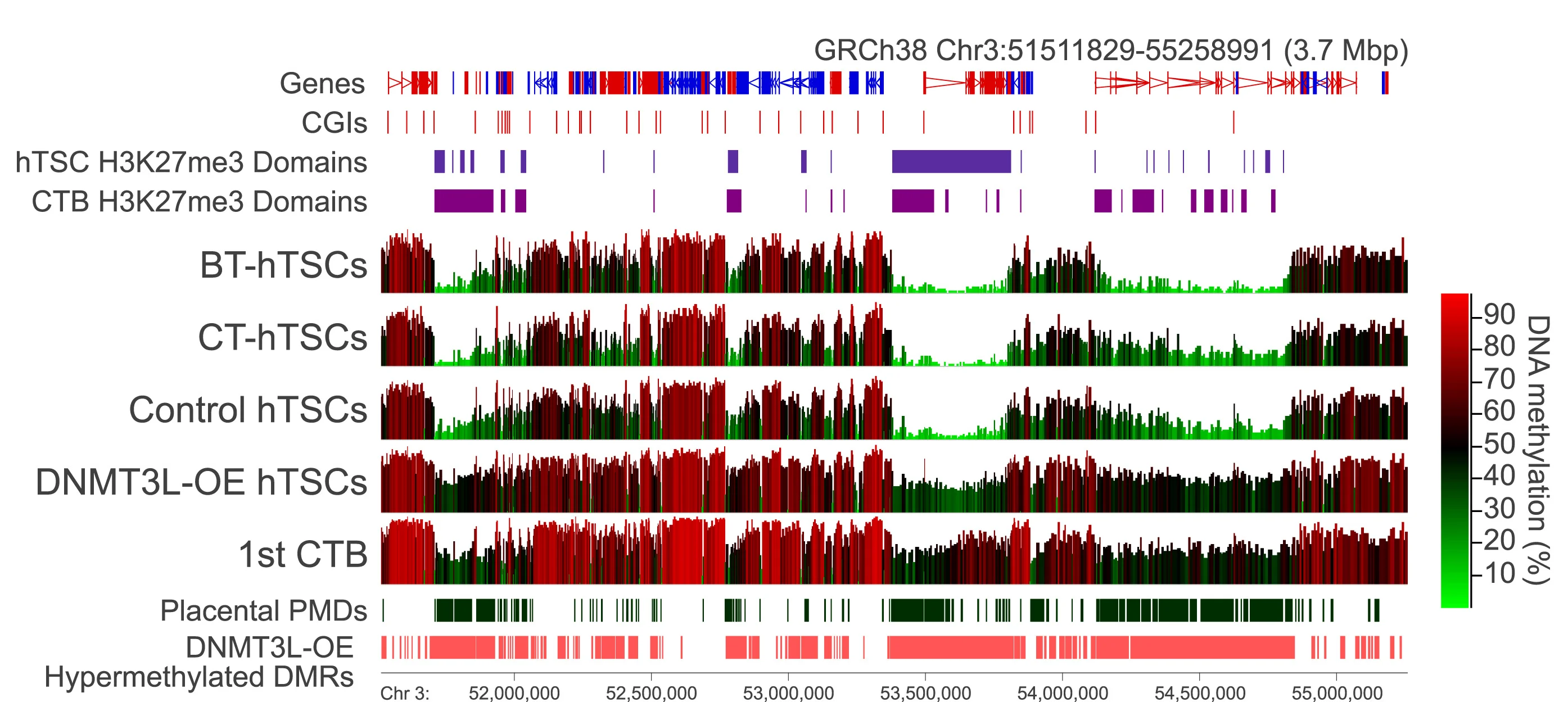 Open access visualization of Line Plot, Bar Plot, DNA Methylation, 100-CpG Windows, Chromosome 3