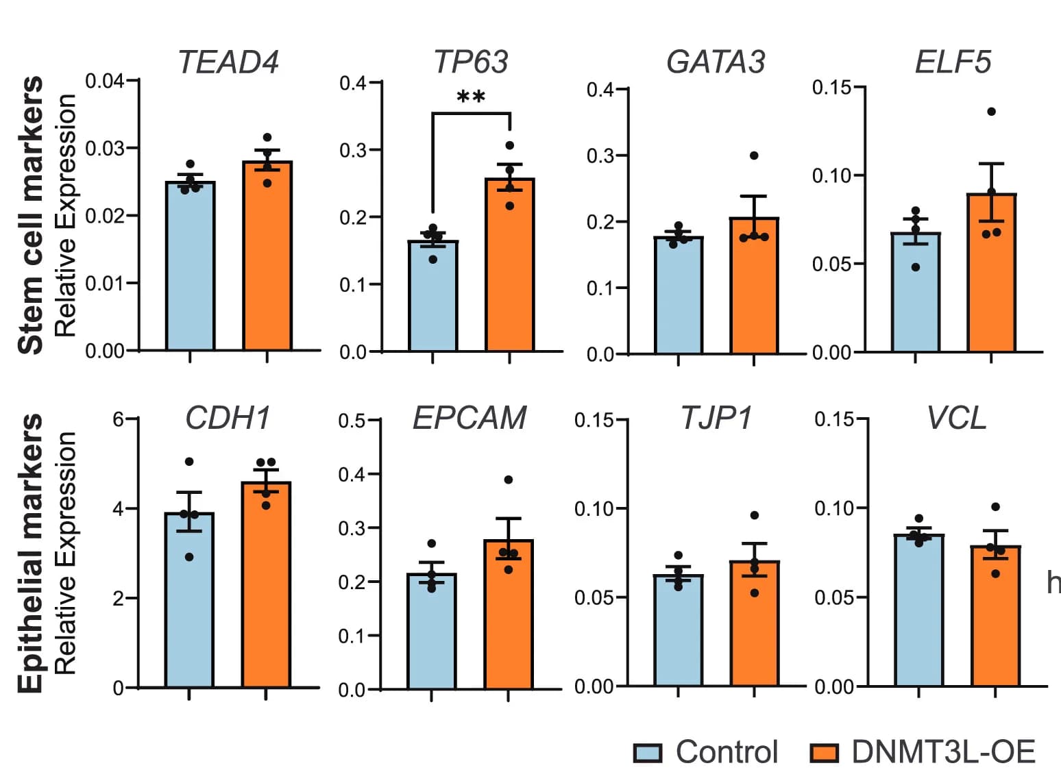 Open access visualization of Bar Plot, Error Bars, Clustered, Bar Plots, Stem Cell Markers