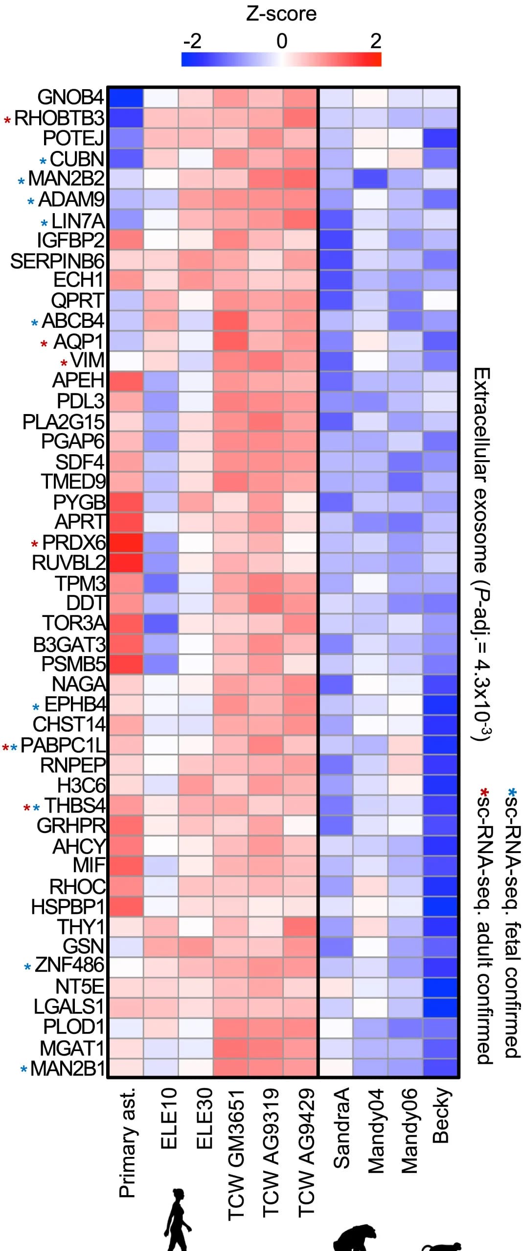 Open access visualization of Heatmap, EAGs, Extracellular Exosome, iAstrocytes, Fetal Brain Astrocytes