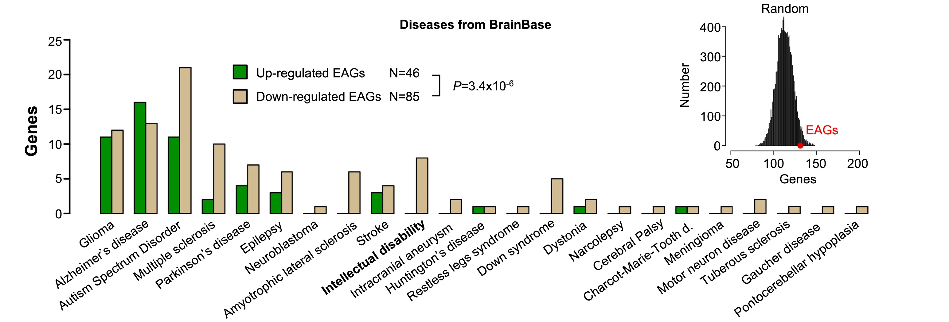 Open access visualization of Bar Plot, Density Plot, EAGs, Brain Disorders, Neurological Disorders
