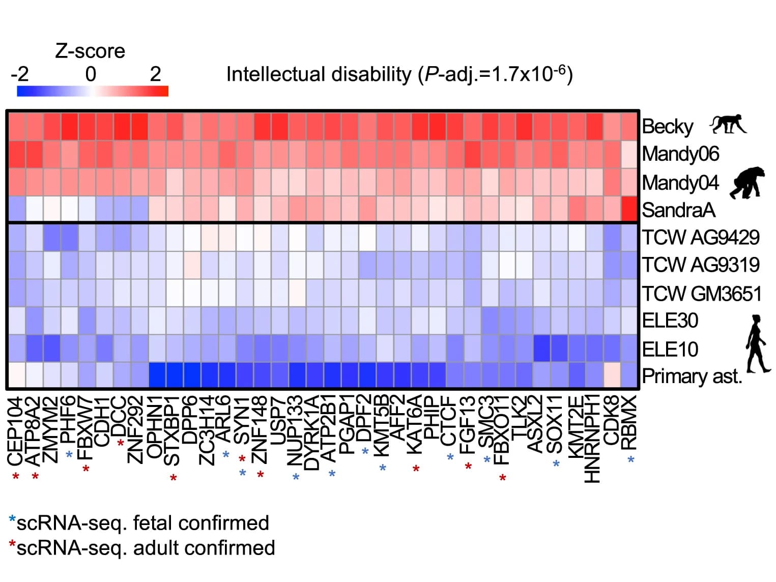 Open access visualization of Heatmap, Expression, Downregulated EAGs, ID, iAstrocytes