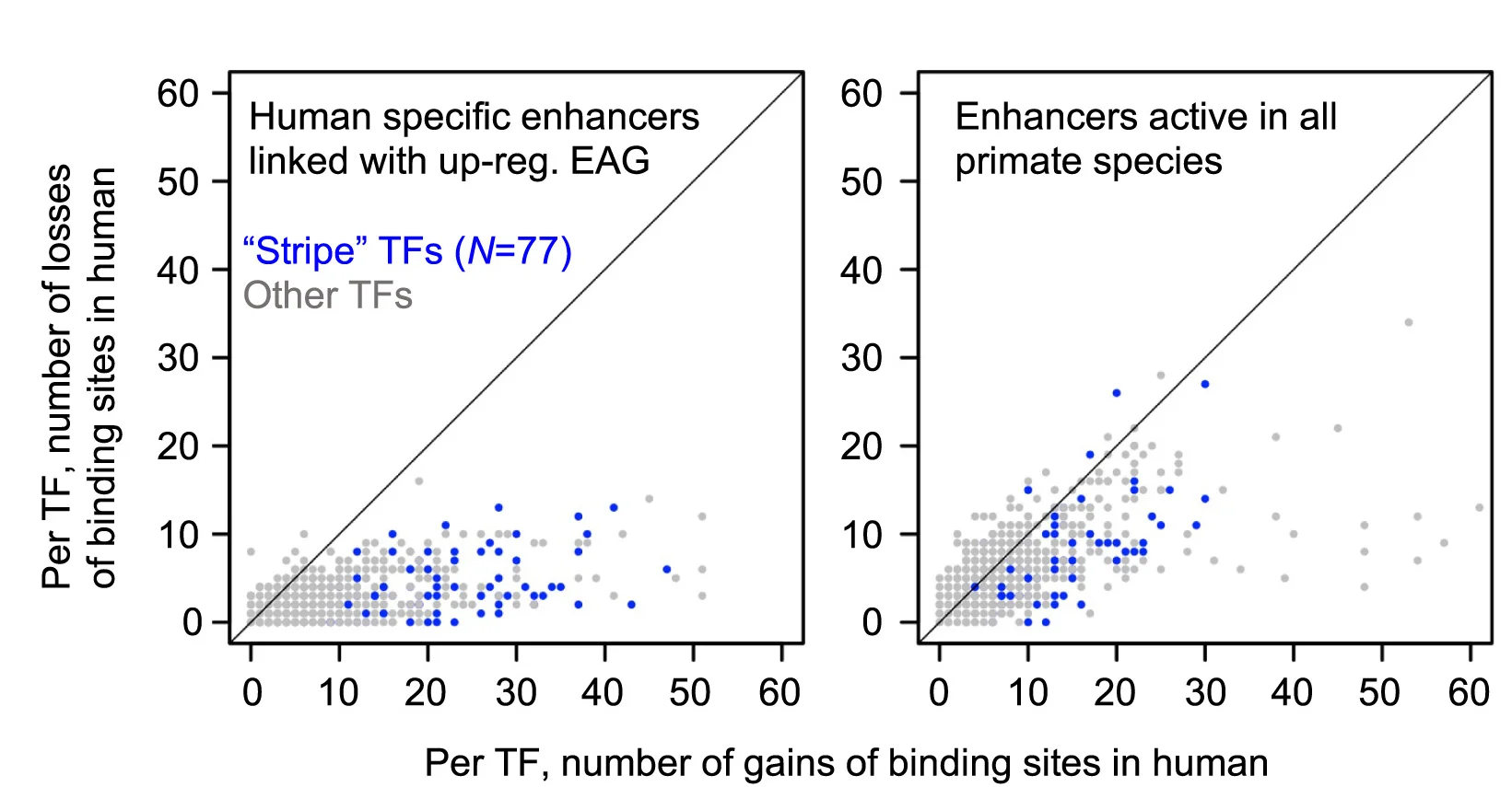 Open access visualization of Scatter Plot, DNA Sequence, Enhancers, TFBS, TF Motif