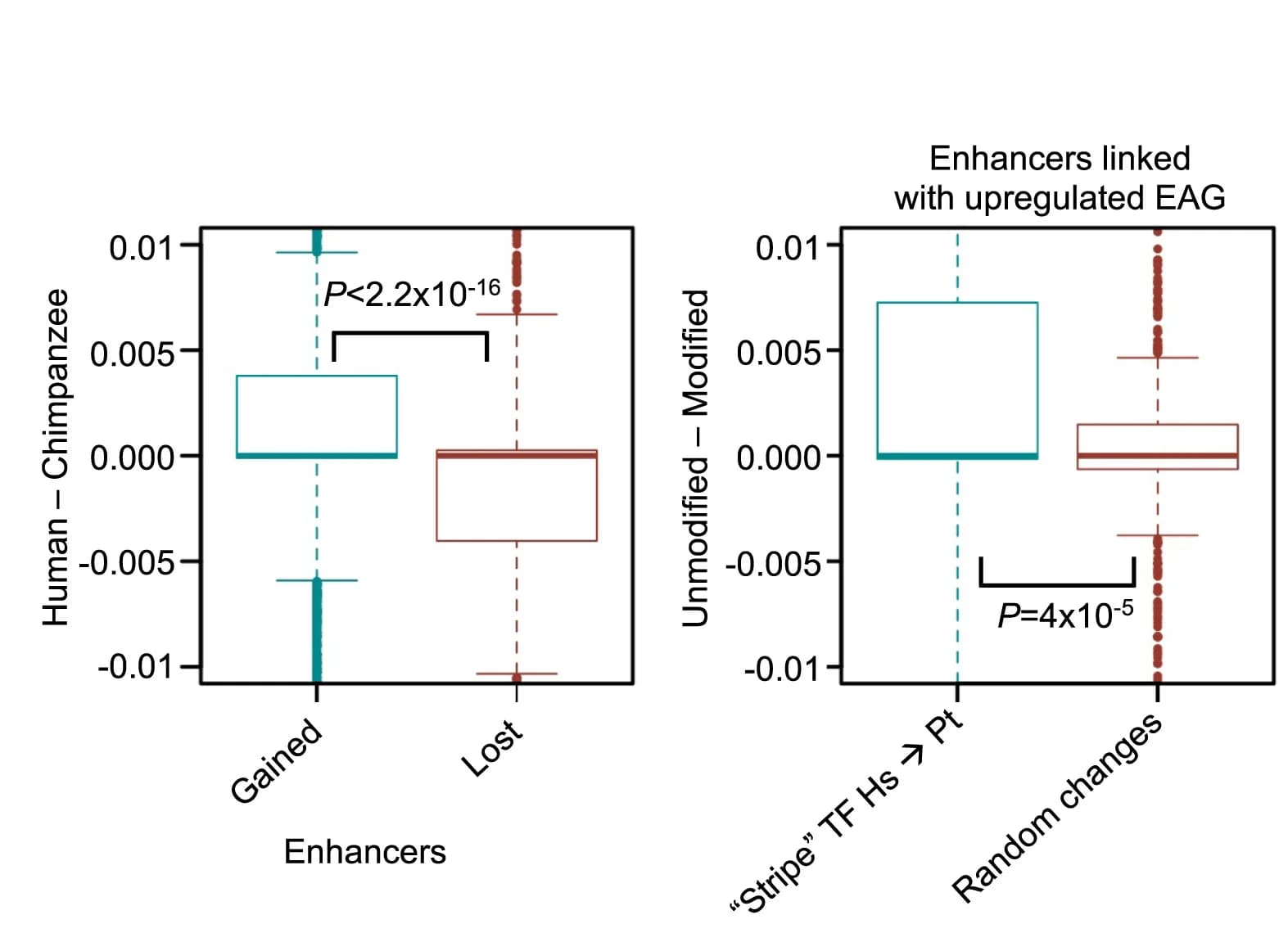 Open access visualization of Box Plot, Scatter Plot, Motifs, Stripe TFs, Regulatory Element
