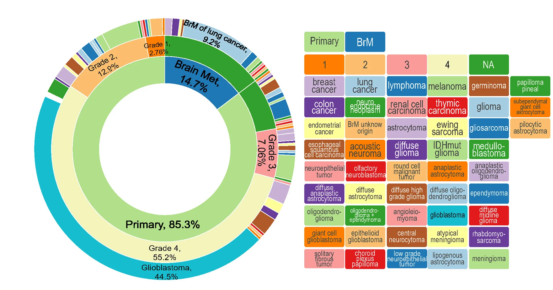 Open access visualization of Donut Chart, Sunburst Plot, Sample Number, Tumor Entities, IPTOs