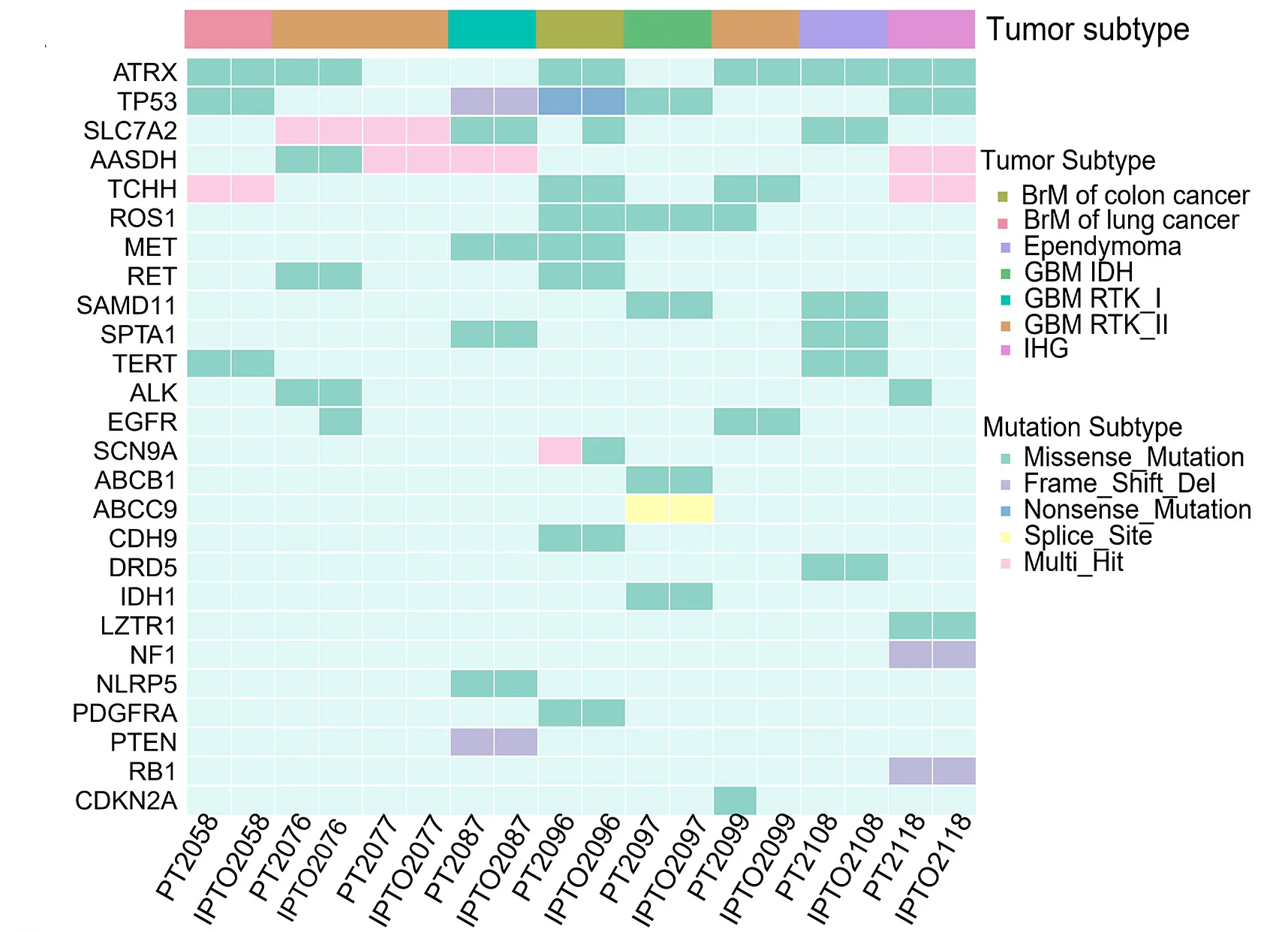 Open access visualization of Heatmap, Whole-Exome Sequencing, Recurrent Mutations, Paired PTs, IPTOS