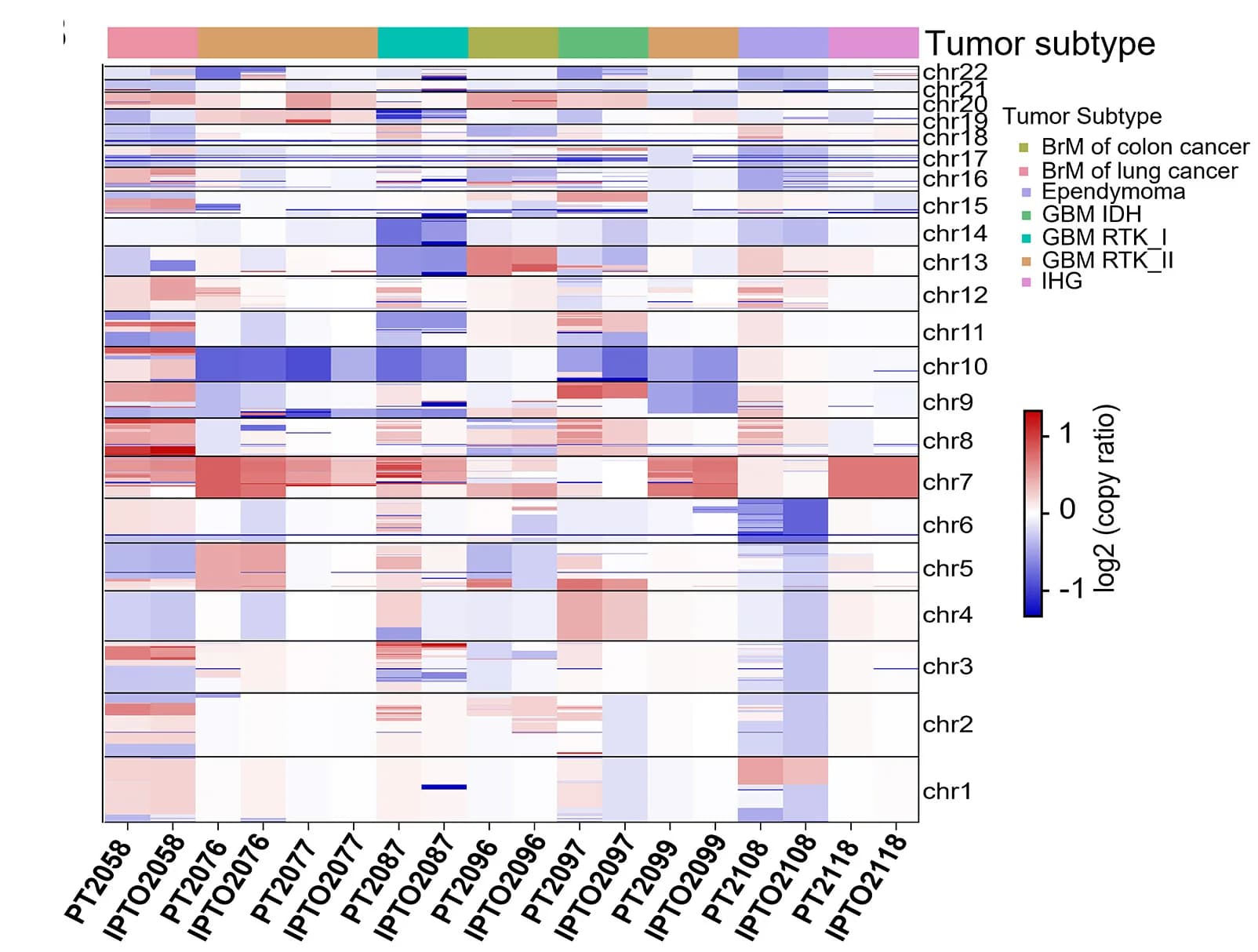 Open access visualization of Heatmap, CNVs, Whole-Exome Sequencing, Paired PTs, IPTOS