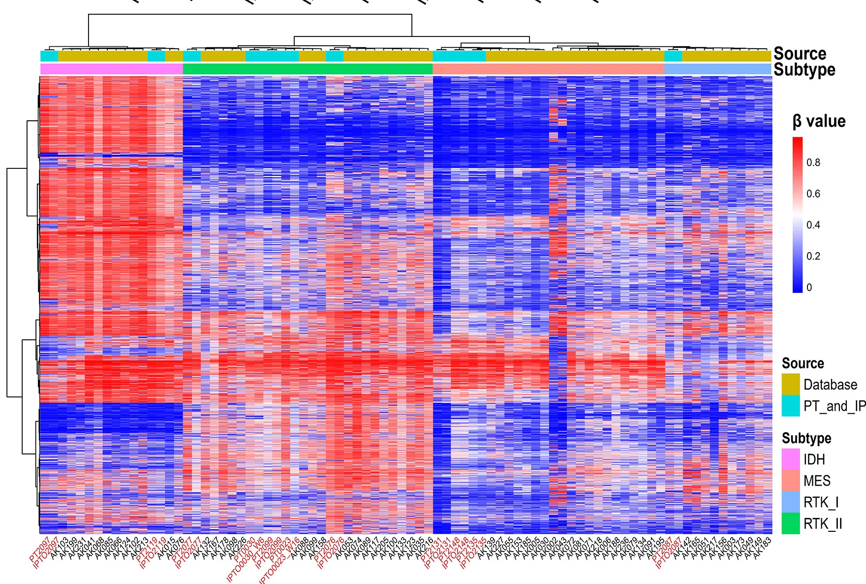 Open access visualization of Heatmap, Clustered, DNA Methylation, Hierarchical Analysis, Paired PTs