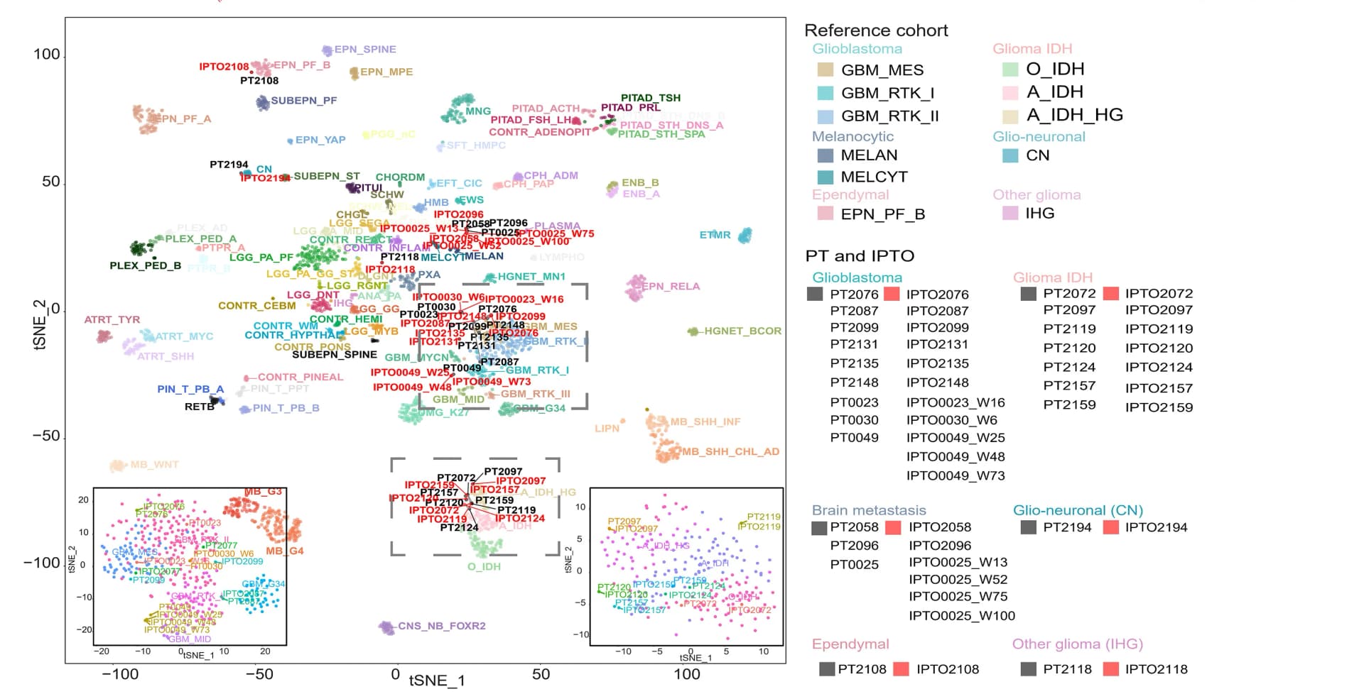 Open access visualization of Scatter Plot, UMAP, PCA, t-SNE Plot, Tumor Subtypes
