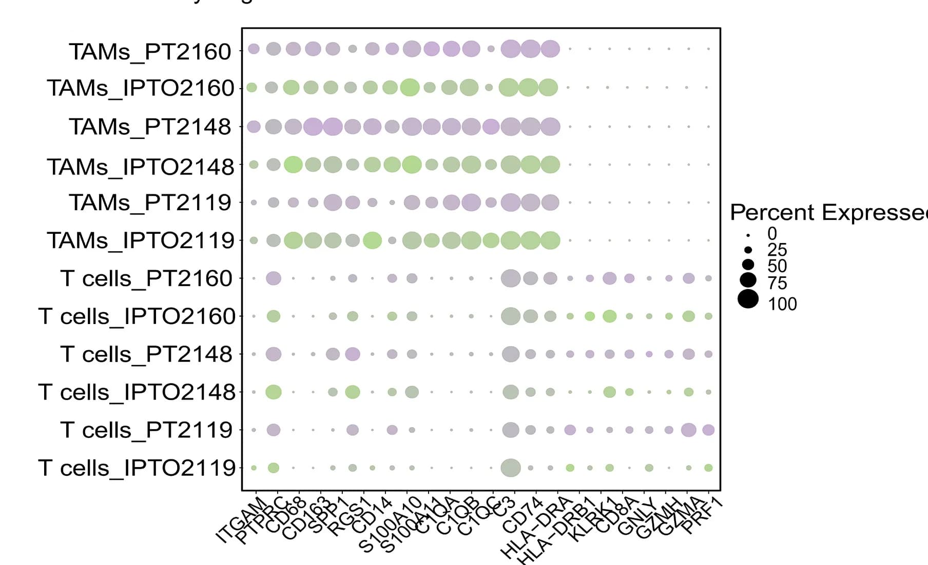 Open access visualization of Bubble Plot, Dot Plot, T Cell, TAM, Marker Genes