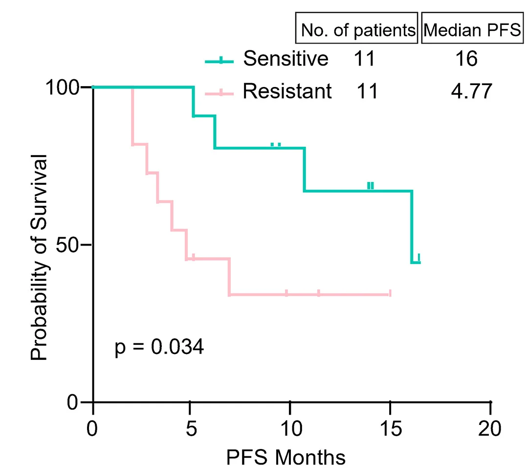Open access visualization of Survival Curve, Line Step, Kaplan-Meier Analysis, Patient PFS, TMZ-Sensitive Group