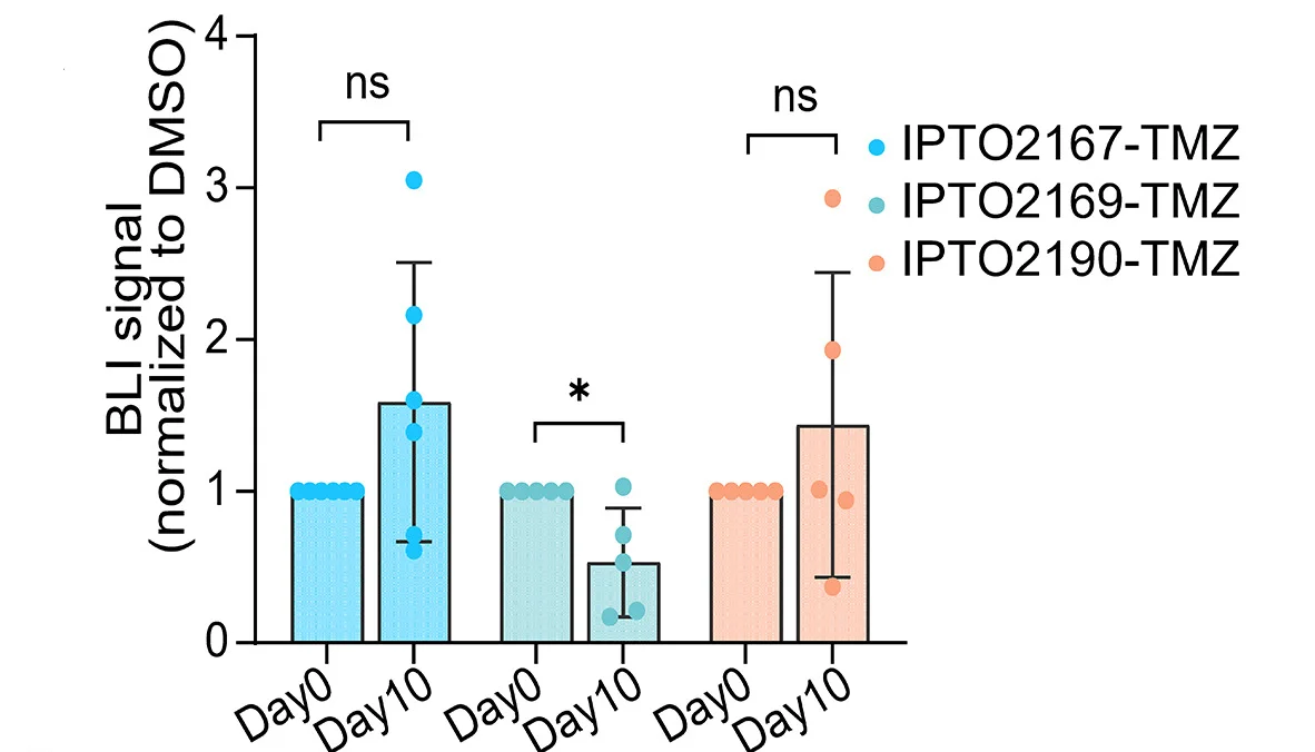 Open access visualization of Bar Plot, Error Bars, Scatter Plot, Bioluminescence Imaging, IPTOs