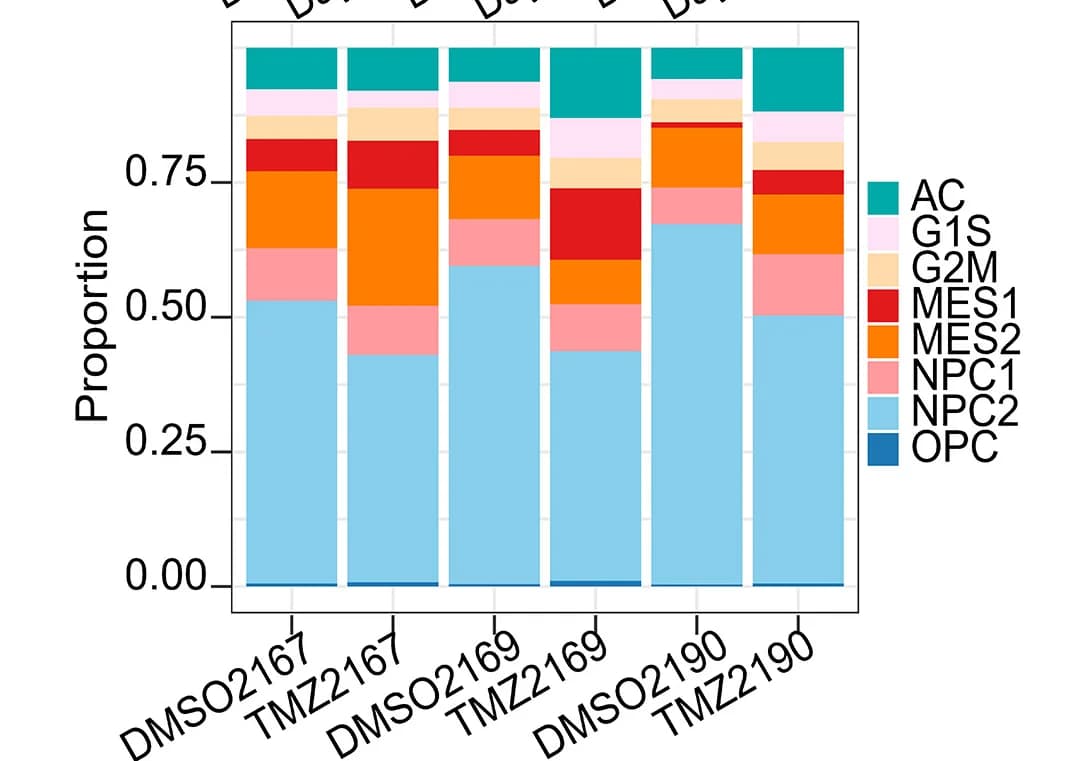 Open access visualization of Stacked Bar Plot, Cell Proportion, TMZ Treatment, IPTOs