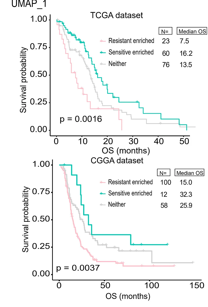 Open access visualization of Survival Curve, Line Step, Kaplan-Meier Curves, Overall Survival, TCGA