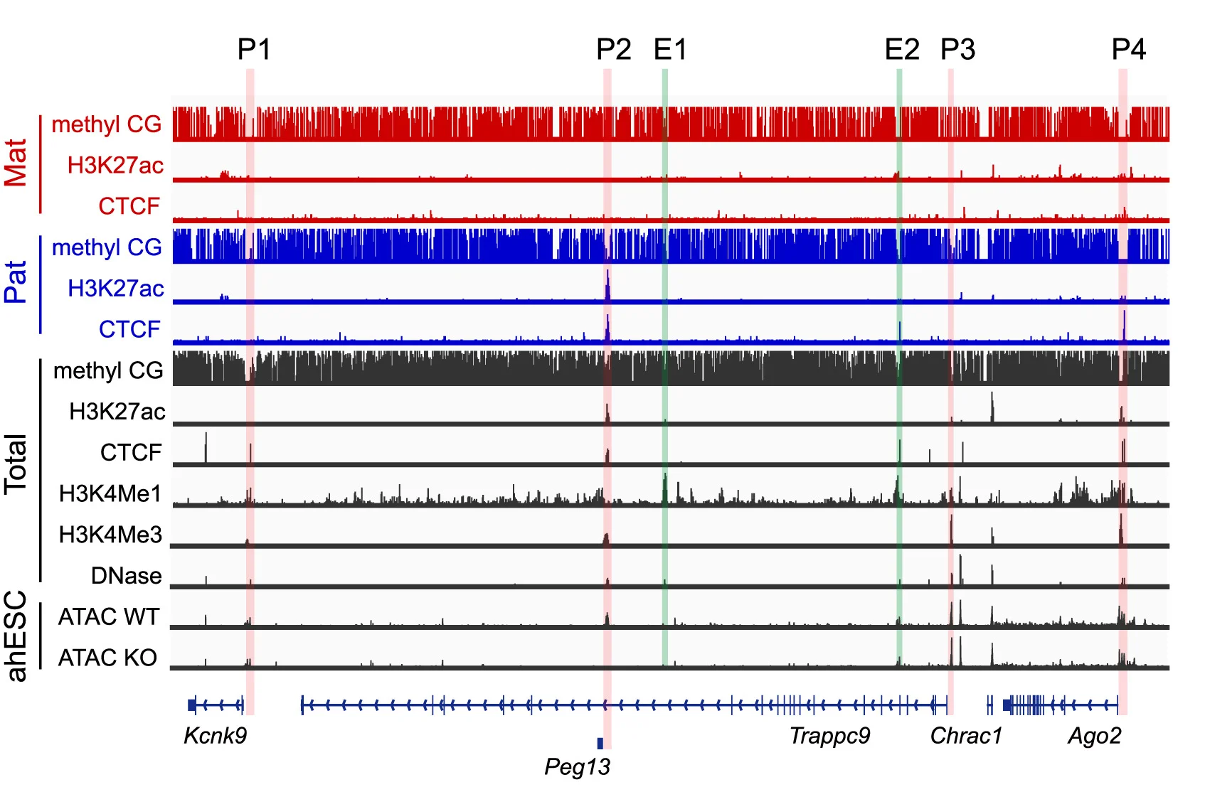 Open access visualization of Line Plot, DNA Methylation, Histone Acetylation, Histone Methylation, CTCF Binding