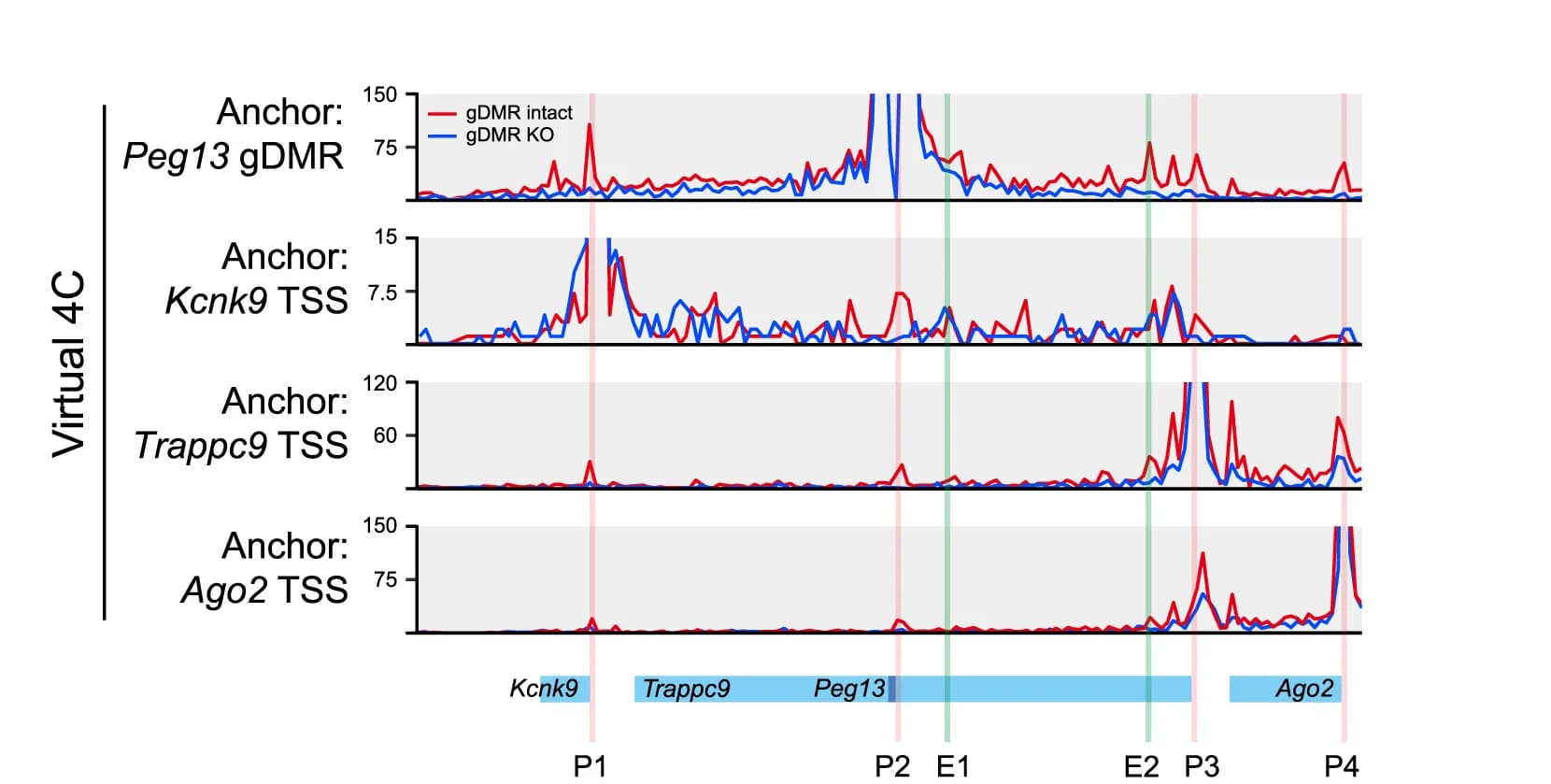 Open access visualization of Line Plot, Virtual 4C, Imprinted Region, Promoters, Transcription Start Site