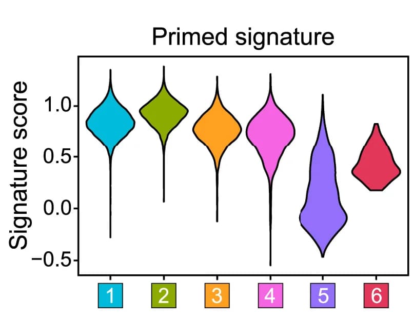 Open access visualization of Violin Plot, Violin Plots, Primed, Signatures, Gene Expression