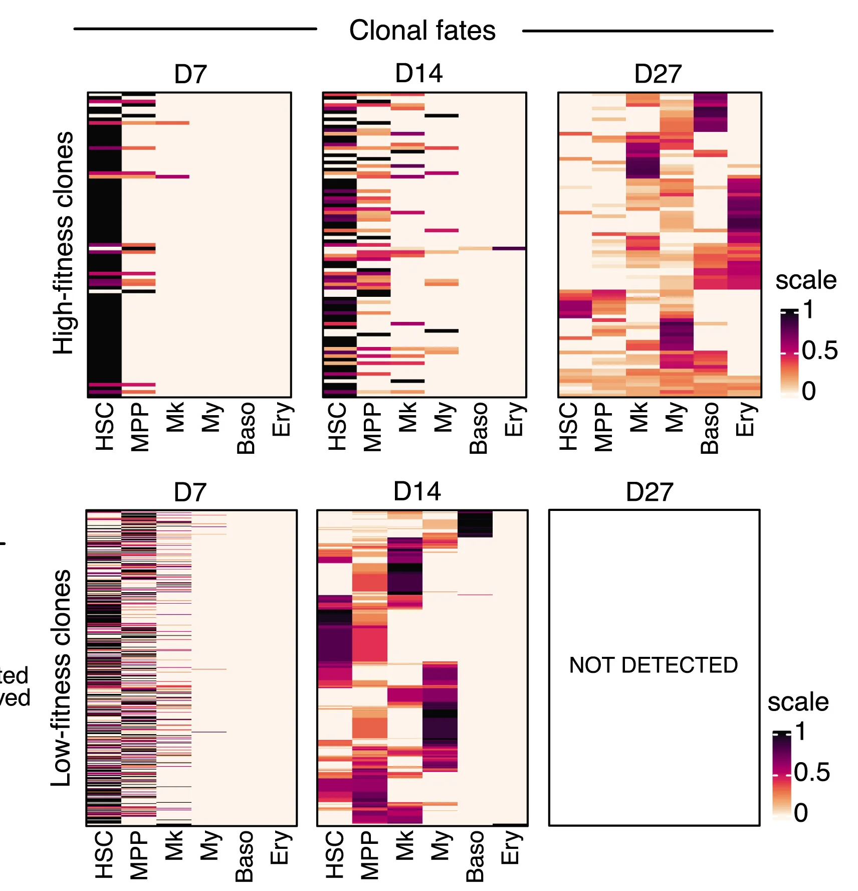 Open access visualization of Heatmap, State-Bias Heatmaps, Clones, Clusters, Intra-Clonal Fraction