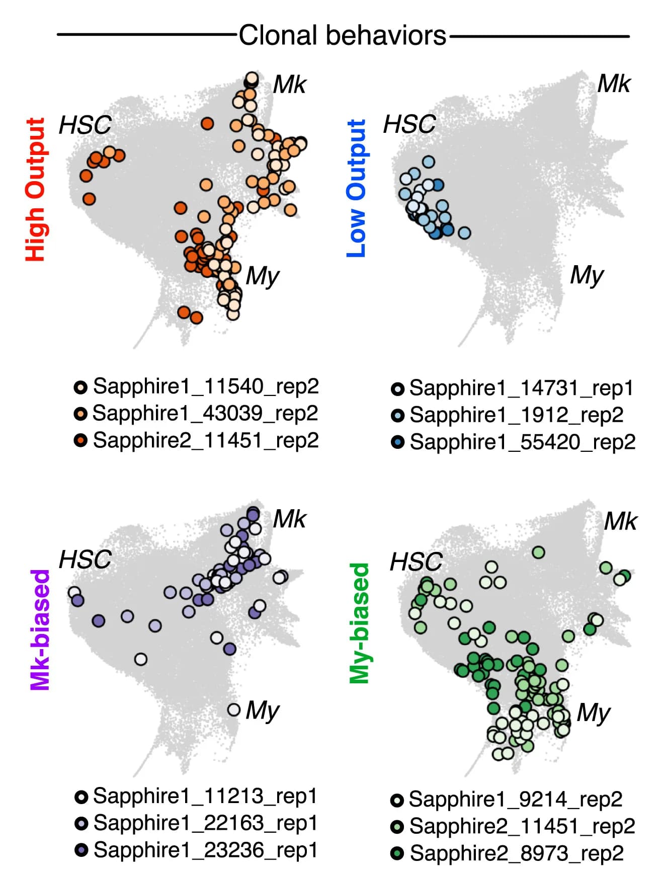 Open access visualization of Scatter Plot, UMAP, Clonal Behaviors, Differentiation, Self-Renewal