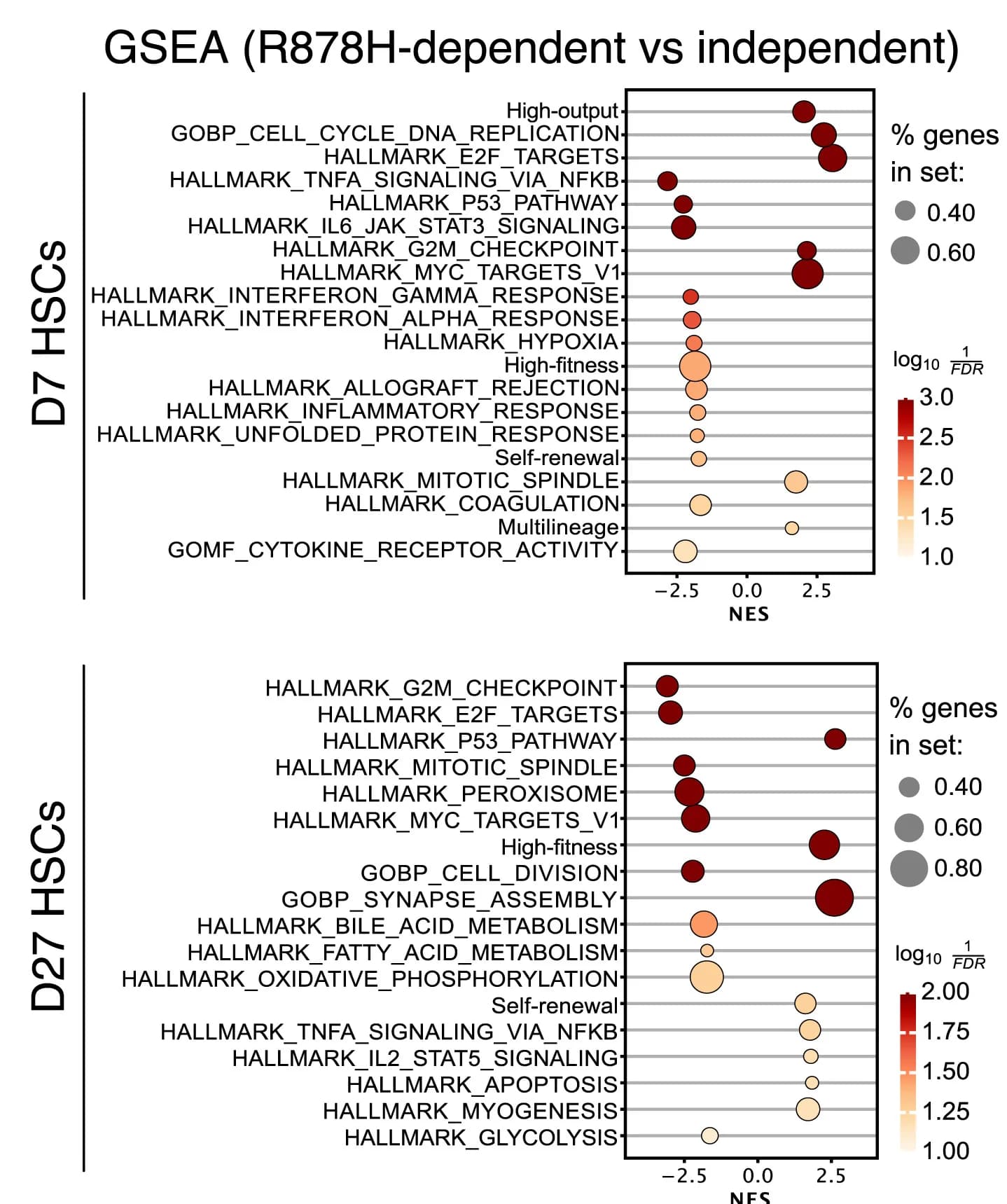 Open access visualization of Bubble Plot, GSEA, Gene Expression, Clones, Mutation