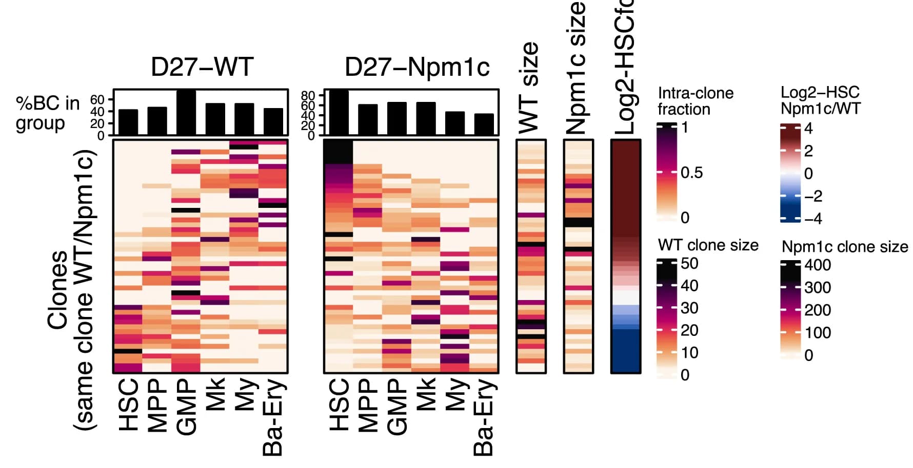 Open access visualization of Heatmap, Bar Plot, State-Bias Heatmap, Sister Clones, WT