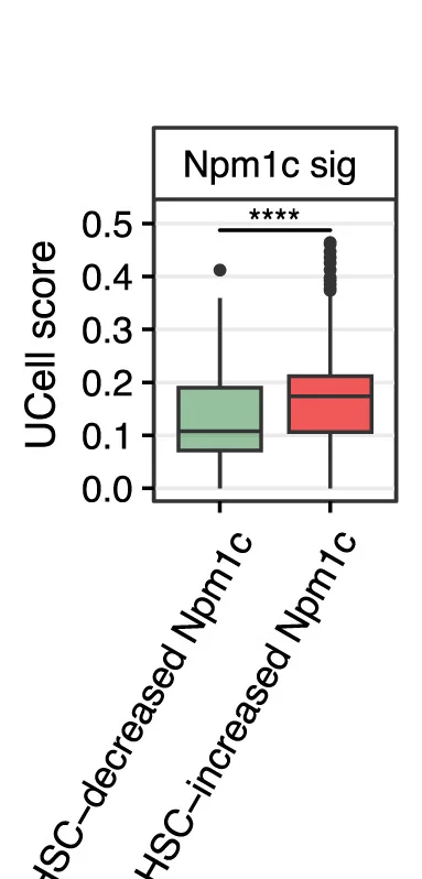 Open access visualization of Box Plot, Boxplot, UCell Score, Npm1c-Targets Signature, HSC-Decreased