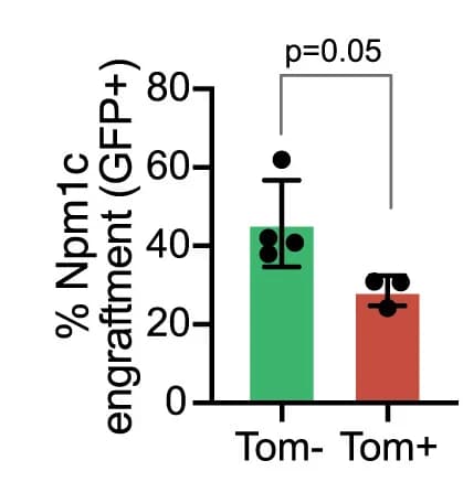 Open access visualization of Bar Plot, Error Bars, Flow Cytometry, BM Engraftment, HSCs