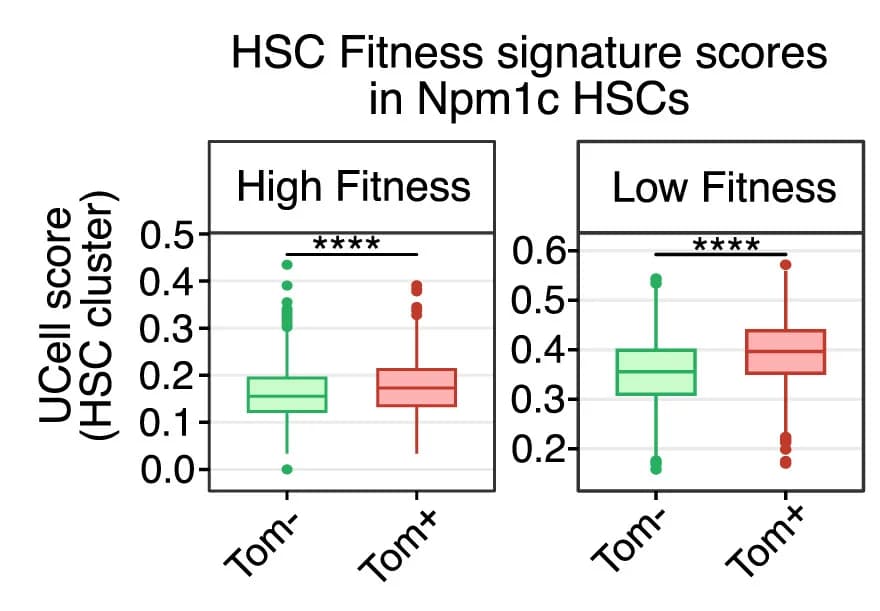 Open access visualization of Box Plot, Scatter Plot, Boxplot, UCell HSC Fitness, Malignant Cells