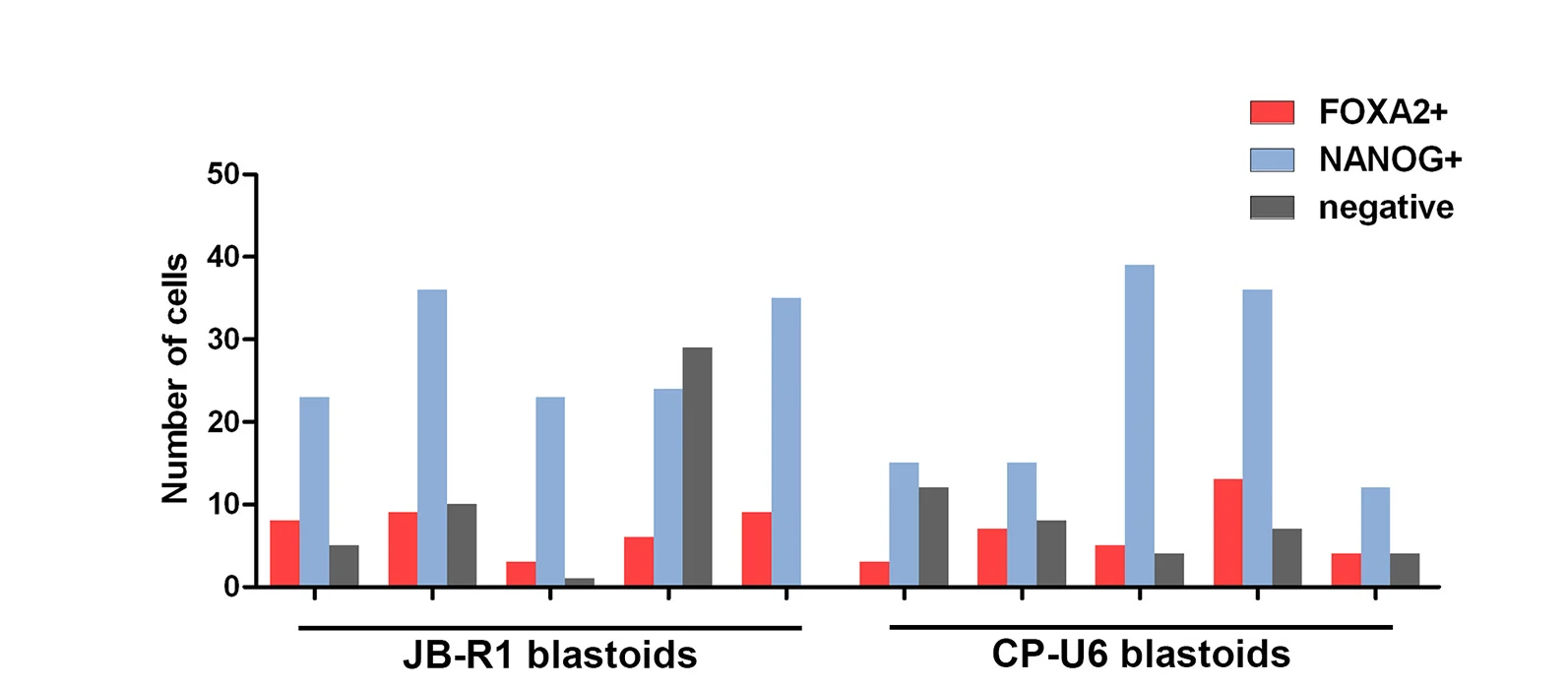Open access visualization of Clustered, Bar Plot, Hypoblast, Epiblast, Inner Cells