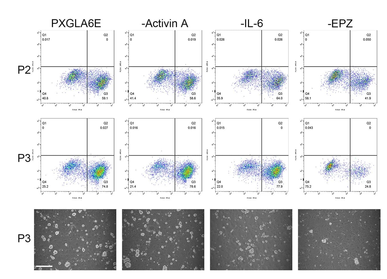 Open access visualization of Scatter Plot, Microscopy, SUSD2, Flow Cytometry, Images