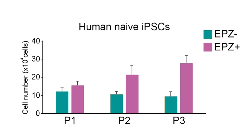 Open access visualization of Bar Plot, Error Bars, Clustered, Cell Counts, Human Naive iPSCs