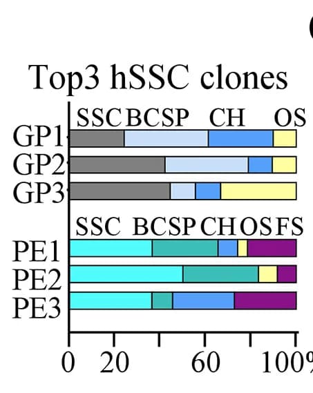 Open access visualization of Stacked Bar Plot, Clones, hSSC Site of Origin, Cell Type Contributions, Leiden Clusters