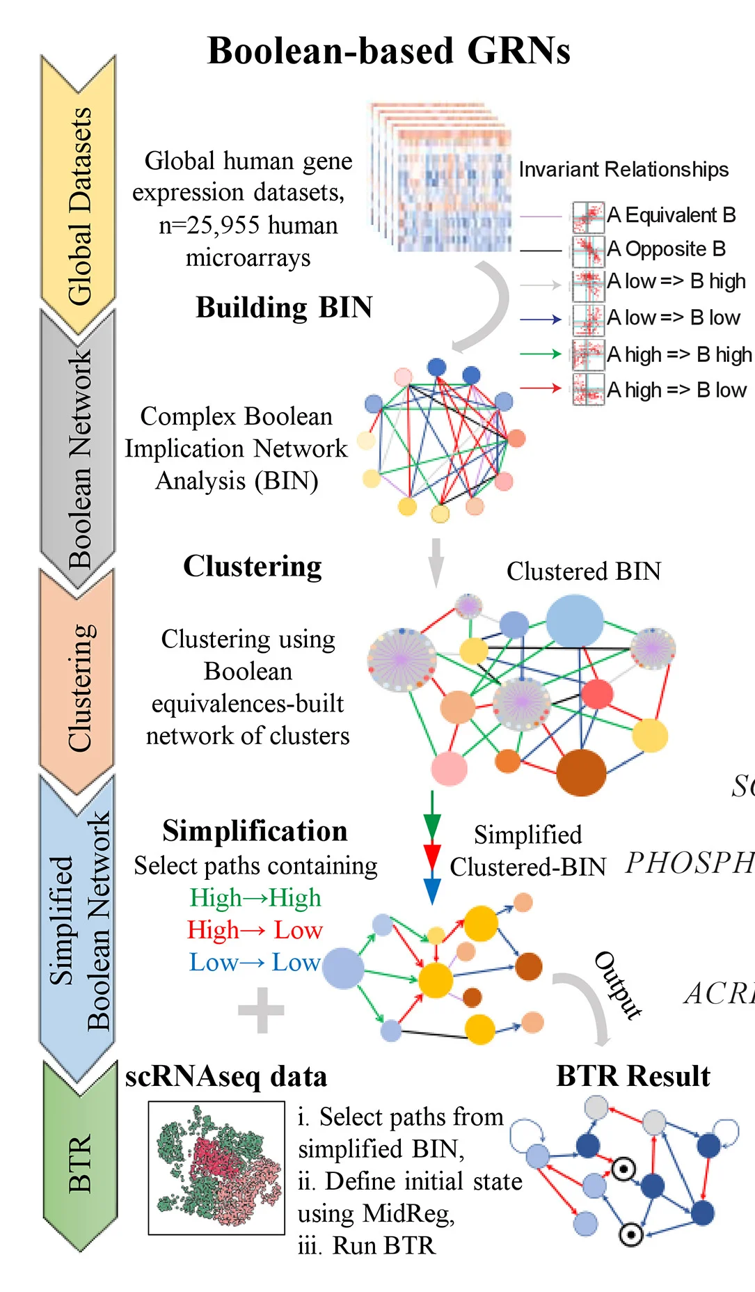 Open access visualization of Workflow, Network, Scatter Plot, Heatmap, Single-Cell Data