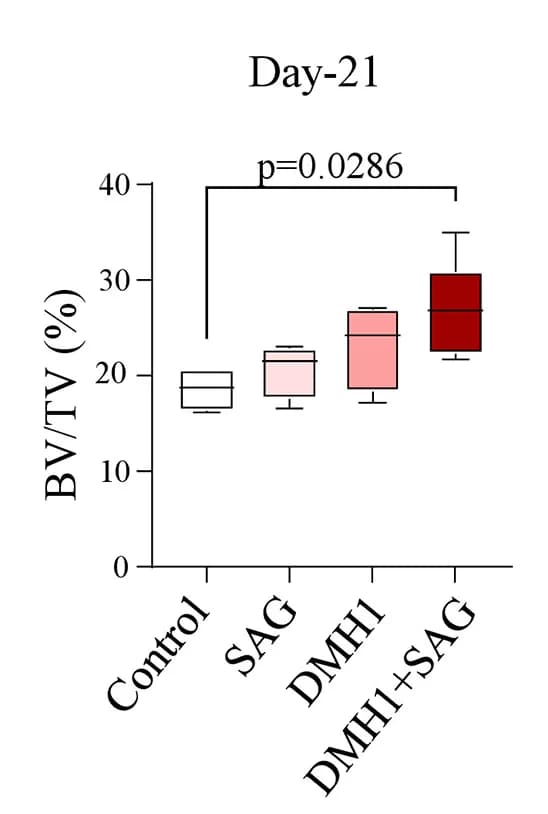 Open access visualization of Box Plot, Micro-CT, Bone Volume, Callus