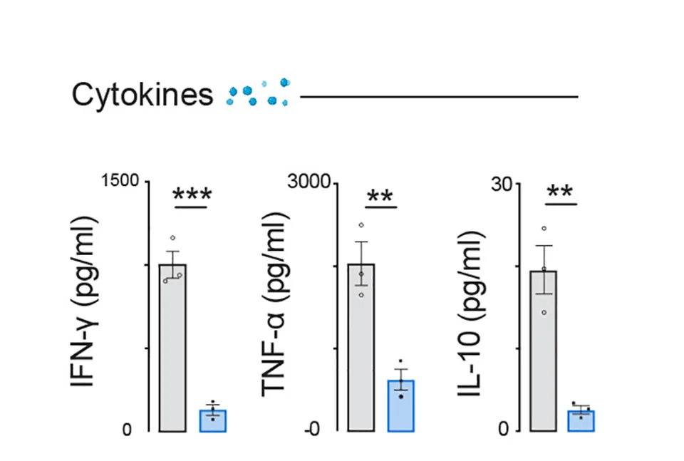 Open access visualization of Bar Plot, Error Bars, Cytokine Levels, Supernatant, PBMCs