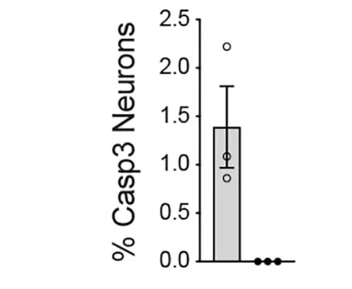 Open access visualization of Bar Plot, Error Bars, Apoptotic Neurons, Casp3+NeuN+, H1-FS Co-cultures