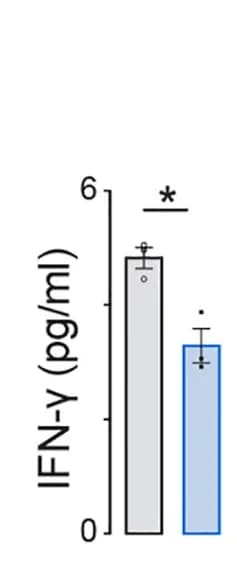 Open access visualization of Bar Plot, Error Bars, NK Secreted Cytokine, IFN-γ, Supernatant